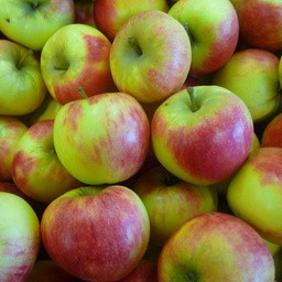 ELSTAR (parfumée, sucrée et acidulée, juteuse)