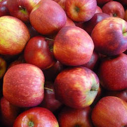 JONAGORED (arôme fruité, sucrée, juteuse)