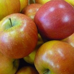 RUBINETTE (acidulée, juteuse et croquante)